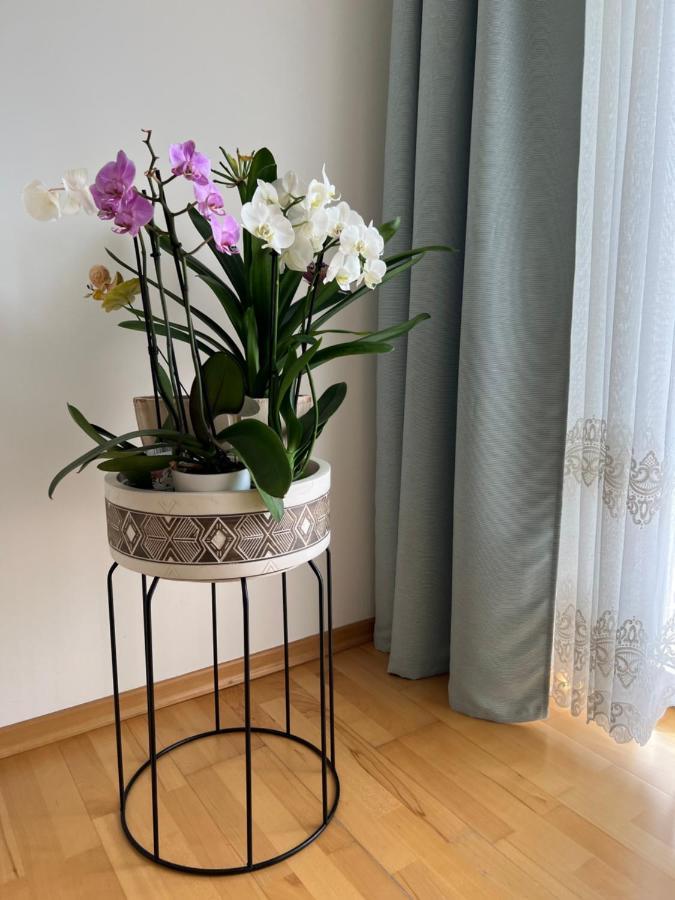 Apartament Acasa Spielberg Bei Knittelfeld 外观 照片